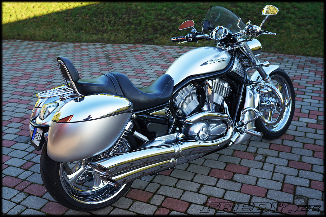 Zodiac- Ampoule H9 - 12V - 65W - Harley-Davidson V-Rod de 2002 à 2017 -  Clair- 749550-67717-01 – Kustom Store Motorcycles